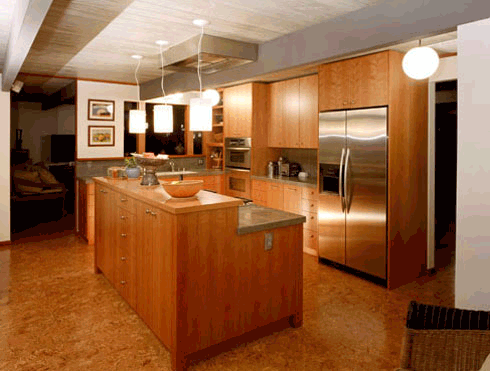 Kitchen_remodel